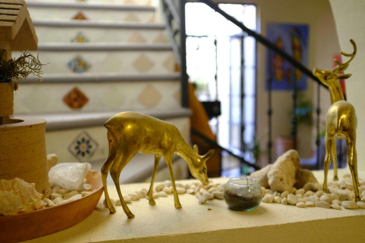 Posada Del Pozo San Miguel de Allende Ngoại thất bức ảnh