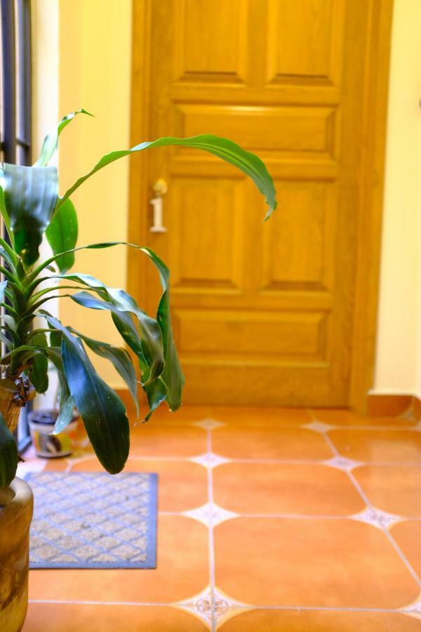 Posada Del Pozo San Miguel de Allende Ngoại thất bức ảnh