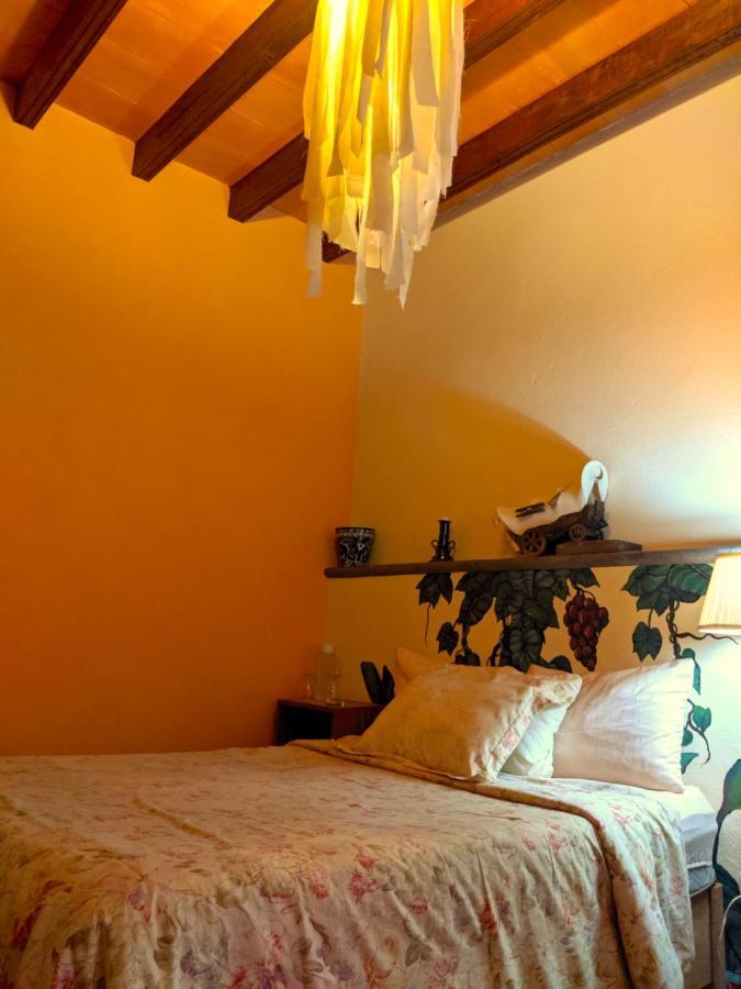 Posada Del Pozo San Miguel de Allende Ngoại thất bức ảnh