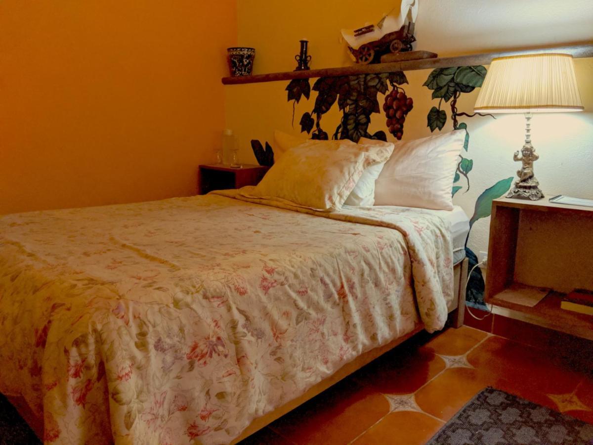 Posada Del Pozo San Miguel de Allende Ngoại thất bức ảnh